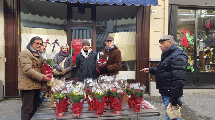 Stelle di Natale 2015 Provincia di Torino
